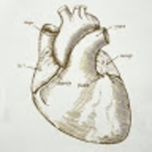 Meet your Posher, Corey